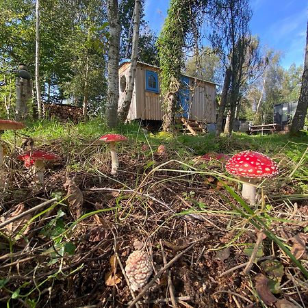 Sapphire Forest Garden Shepherd'S Hut Чёч Стретон Экстерьер фото