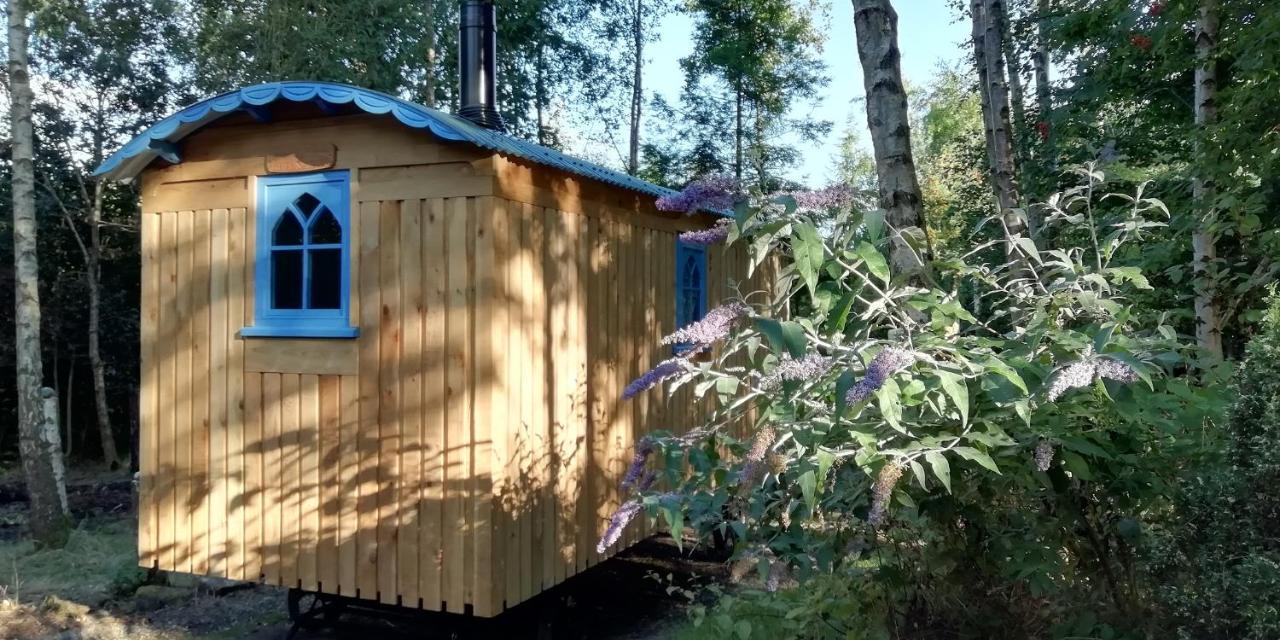 Sapphire Forest Garden Shepherd'S Hut Чёч Стретон Экстерьер фото