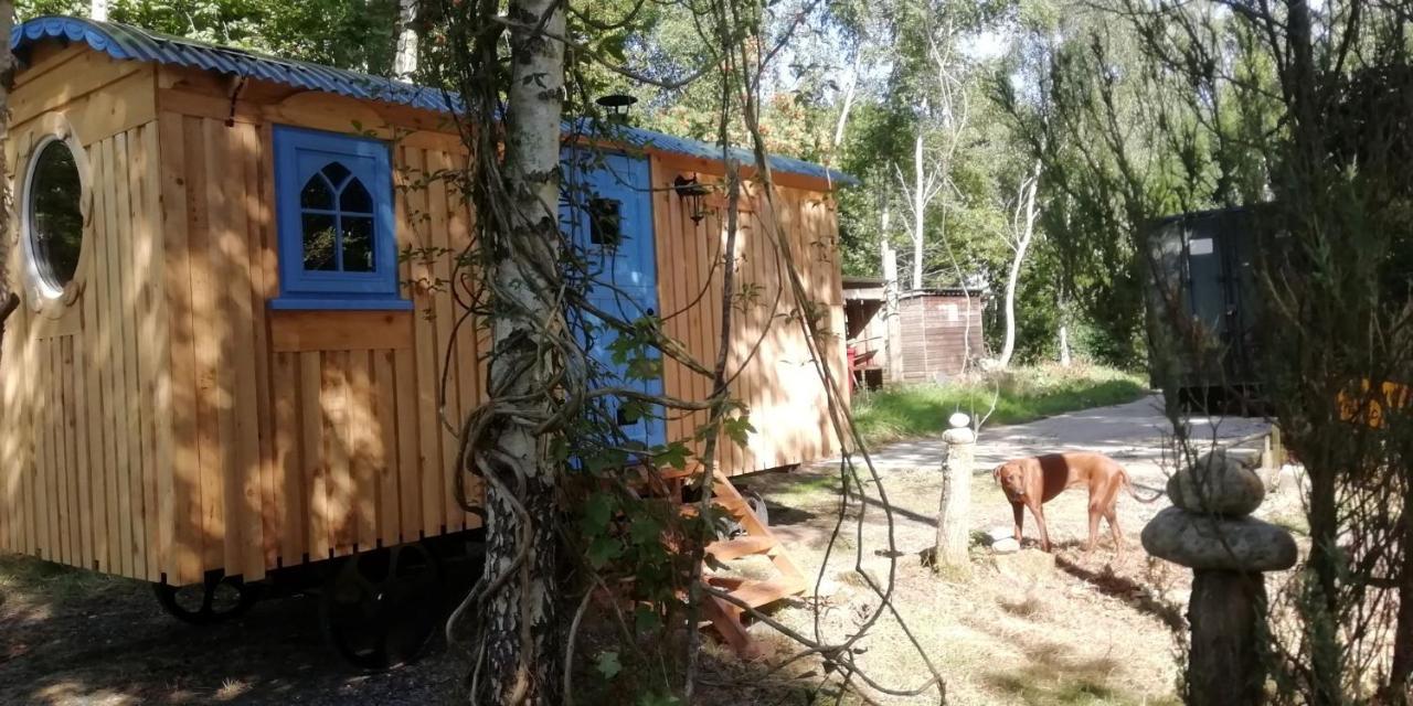 Sapphire Forest Garden Shepherd'S Hut Чёч Стретон Экстерьер фото