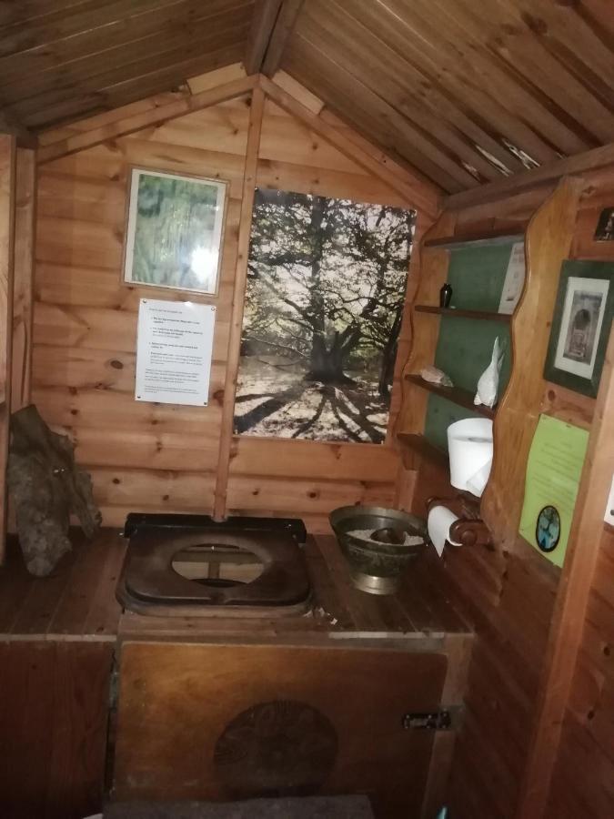 Sapphire Forest Garden Shepherd'S Hut Чёч Стретон Экстерьер фото
