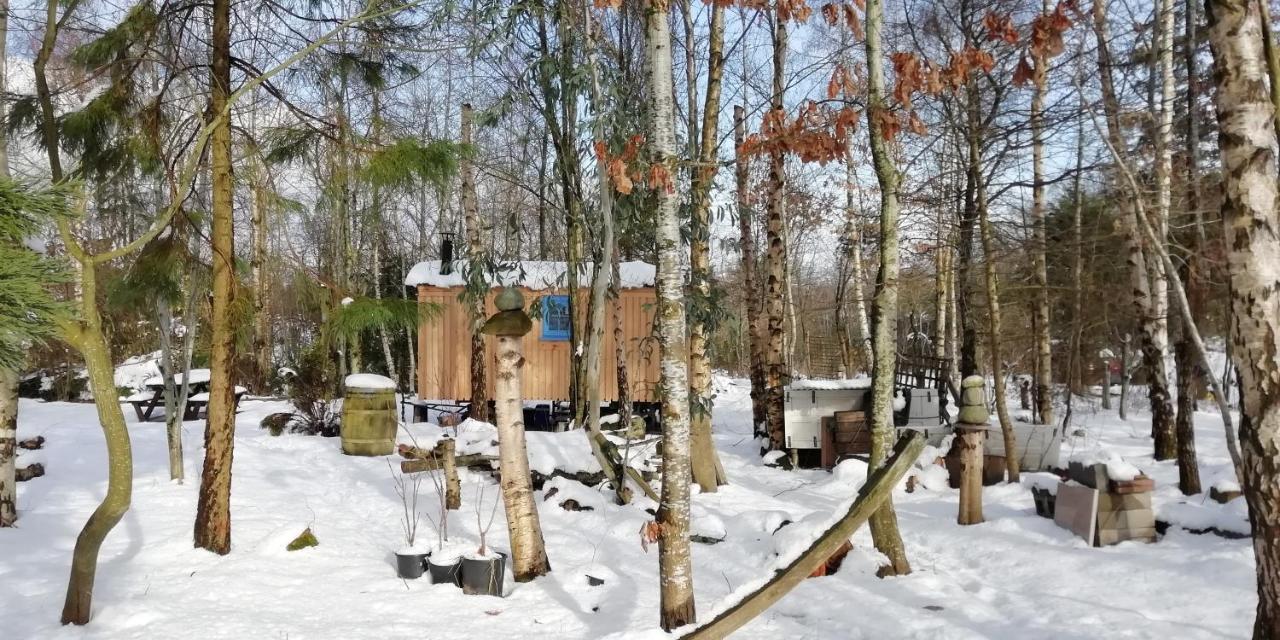Sapphire Forest Garden Shepherd'S Hut Чёч Стретон Экстерьер фото