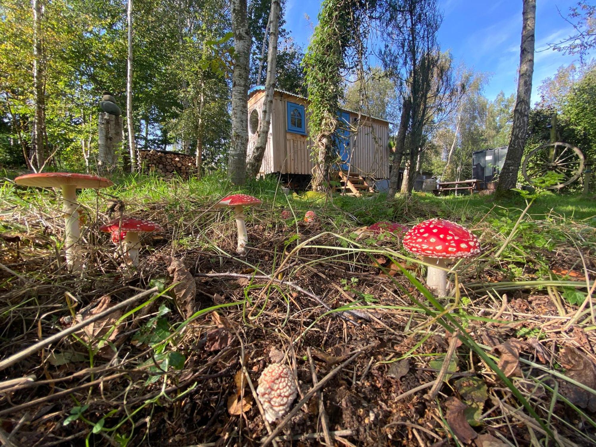 Sapphire Forest Garden Shepherd'S Hut Чёч Стретон Экстерьер фото